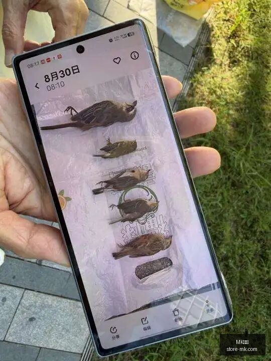 腾讯电竞大,赛落幕,年度战队揭,MK体育官网,MK体育赛事直播,MK体育App下载,MK体育登录,MK体育平台